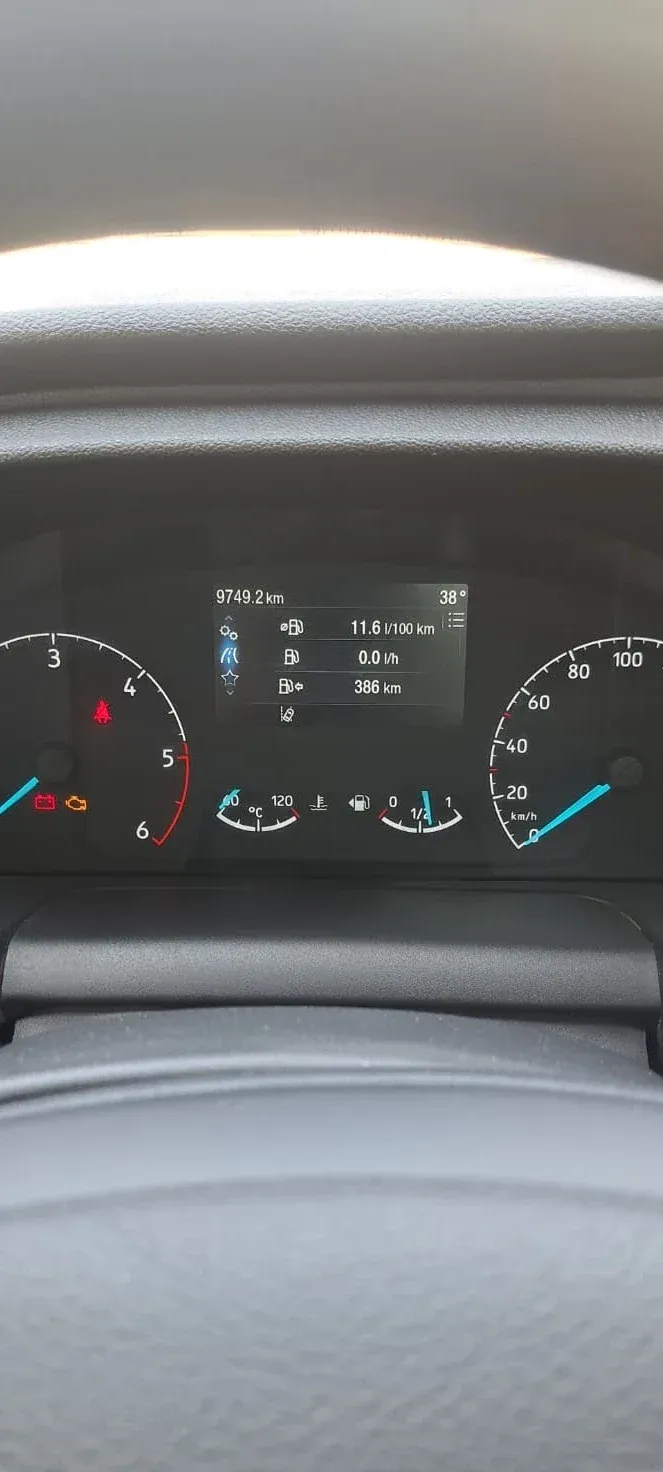 Ford Transit 350 2.0 EcoBlue 165 CP L3 FWD Trend — imagine 4