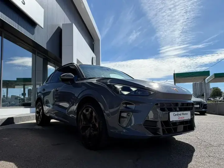 Cupra Terramar 2.0 TSI DSG7 4Drive
