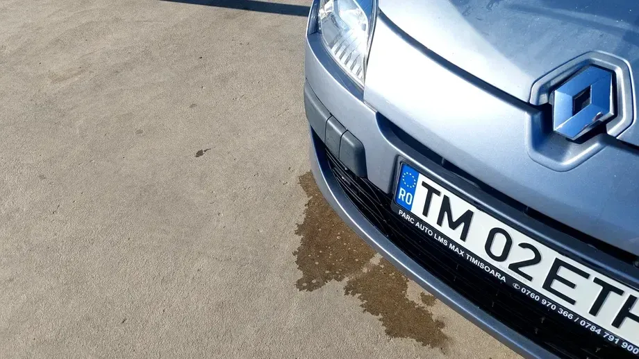 Renault Mégane III 1.6 16V Expression — imagine 5