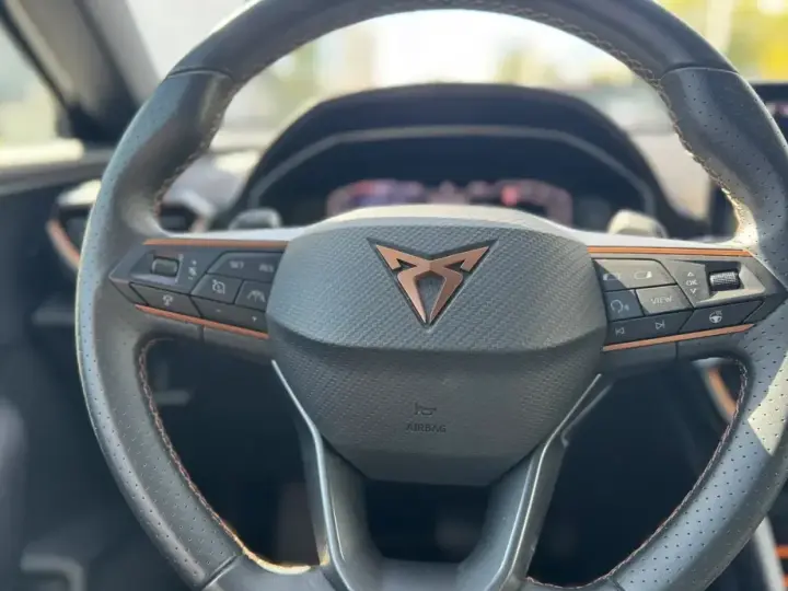 Cupra Formentor 2.0 TSI 4DRIVE DSG