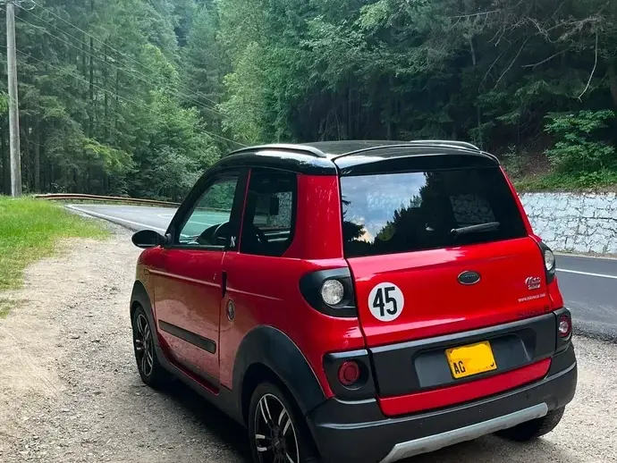 Microcar M.Go