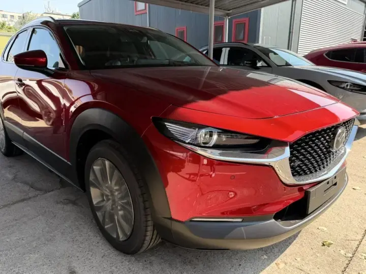 Mazda CX-30 e-SKYACTIV X186 AWD AT MHEV Takumi