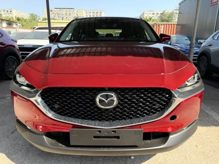 Mazda CX-30 e-SKYACTIV X186 AWD AT MHEV Takumi