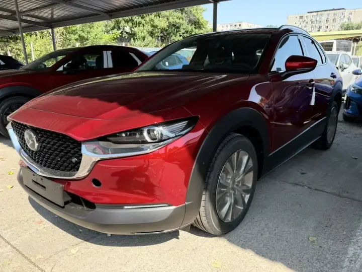 Mazda CX-30 e-SKYACTIV X186 AWD AT MHEV Takumi