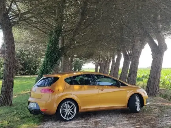 Seat Leon II 2.0 TSI Cupra R