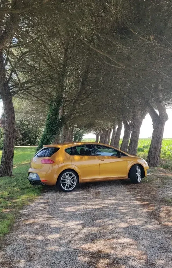 Seat Leon II 2.0 TSI Cupra R — imagine 3