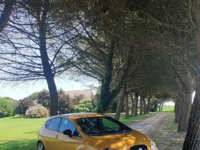 Seat Leon II 2.0 TSI Cupra R