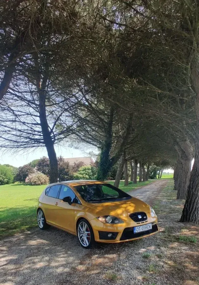 Seat Leon II 2.0 TSI Cupra R — imagine 2