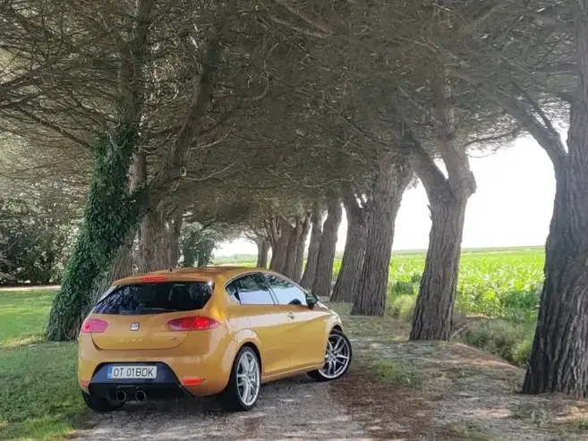 Seat Leon II 2.0 TSI Cupra R