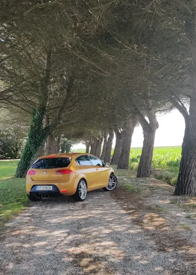 Seat Leon II 2.0 TSI Cupra R — imagine 4