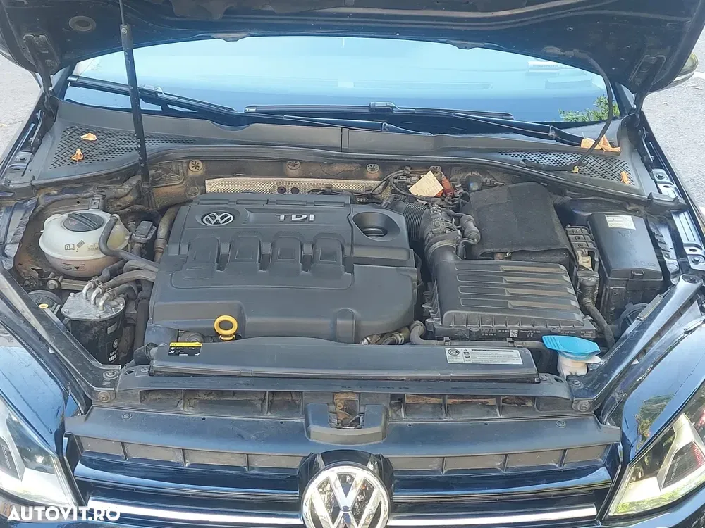 Volkswagen Golf VII 1.6 TDI DPF BlueMotion Technology Comfortline — imagine 6
