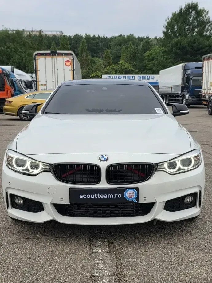 BMW Seria 4 F32/F33/F36 420d xDrive Sport-Aut. Sport Line — imagine 2